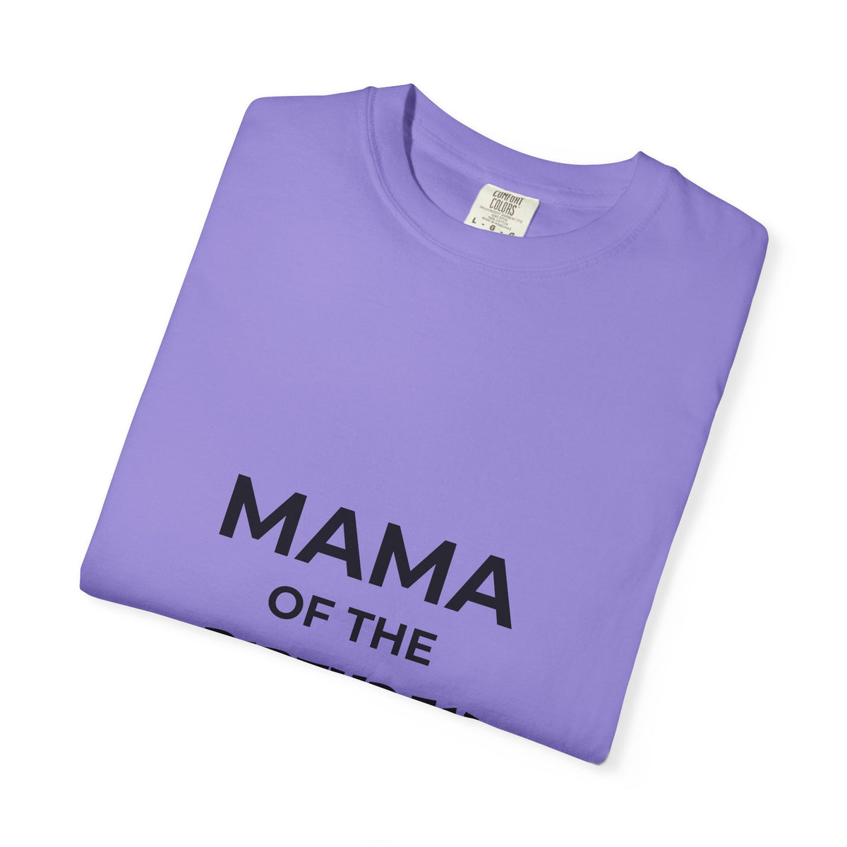 Mama of the Birthday Dude T-Shirt